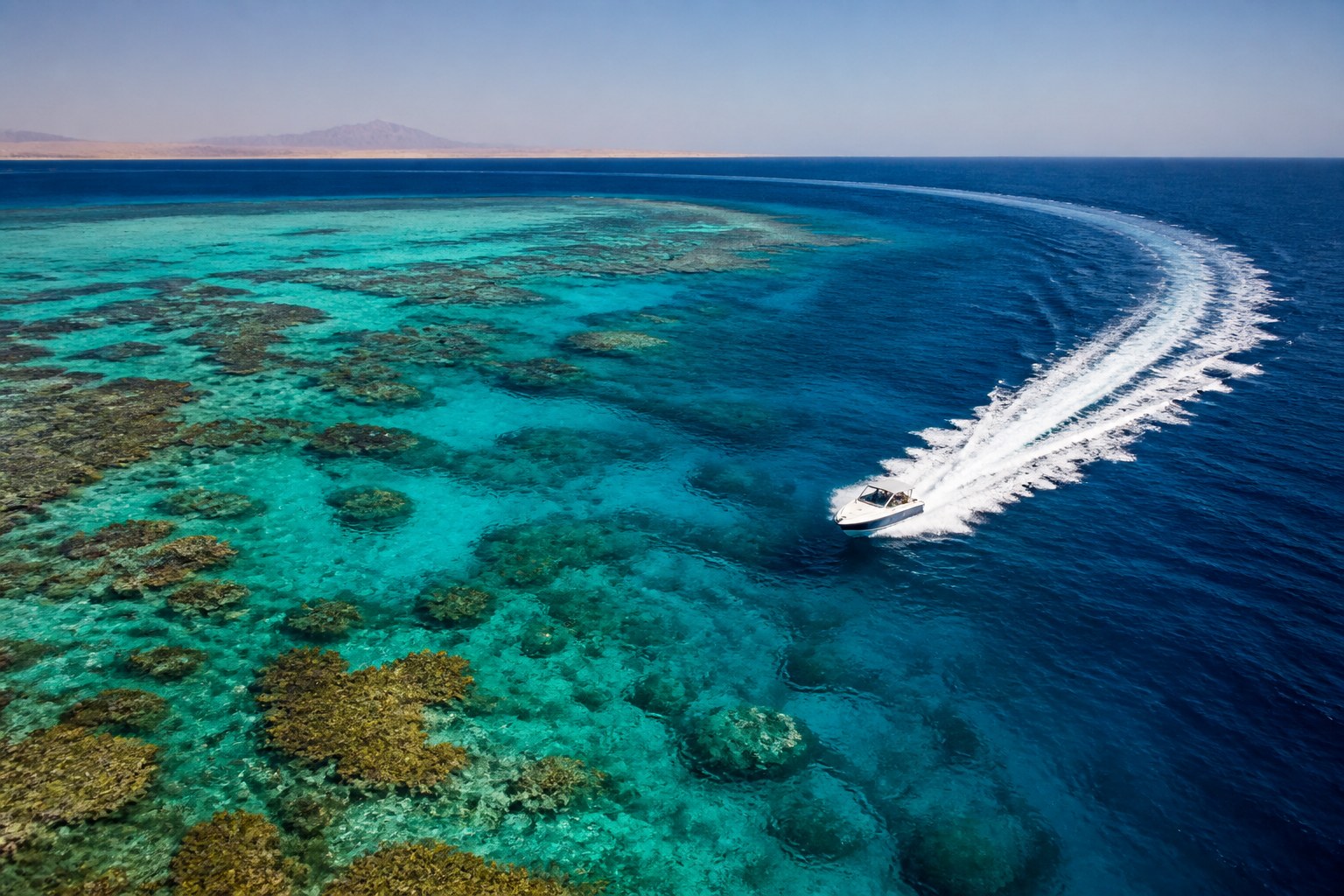 Sortie privée en bateau rapide vers des récifs choisis