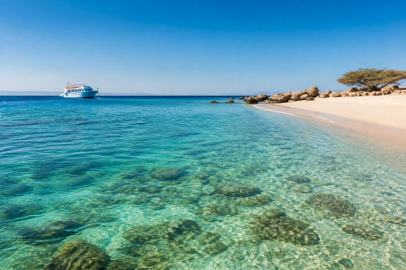Excursions de snorkeling